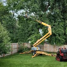 Grass Overseeding in Galveston, TX